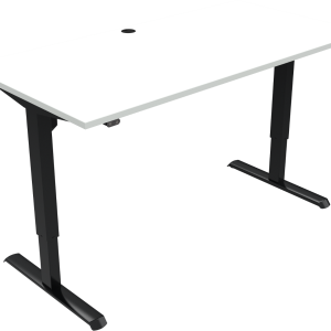 To-bens hæve-/sænkebord ZenNord AdaptDesk firkantet højdejusterbart skrivebord H:118 x B:80 x L:160 cm hvid/sort MFC