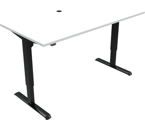 To-bens hæve-/sænkebord ZenNord AdaptDesk firkantet højdejusterbart skrivebord H:118 x B:80 x L:160 cm hvid/sort MFC
